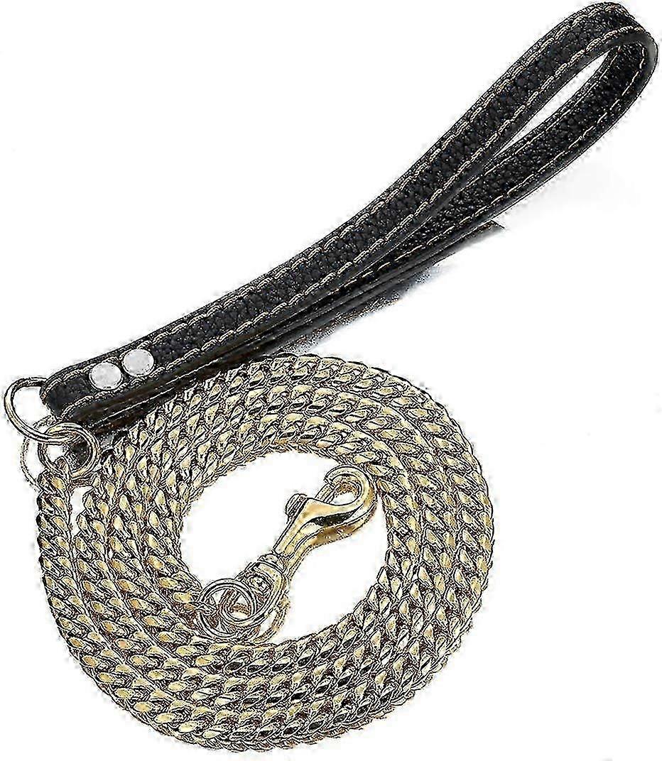 3ft Stainless Steel Dog Leash for Walking