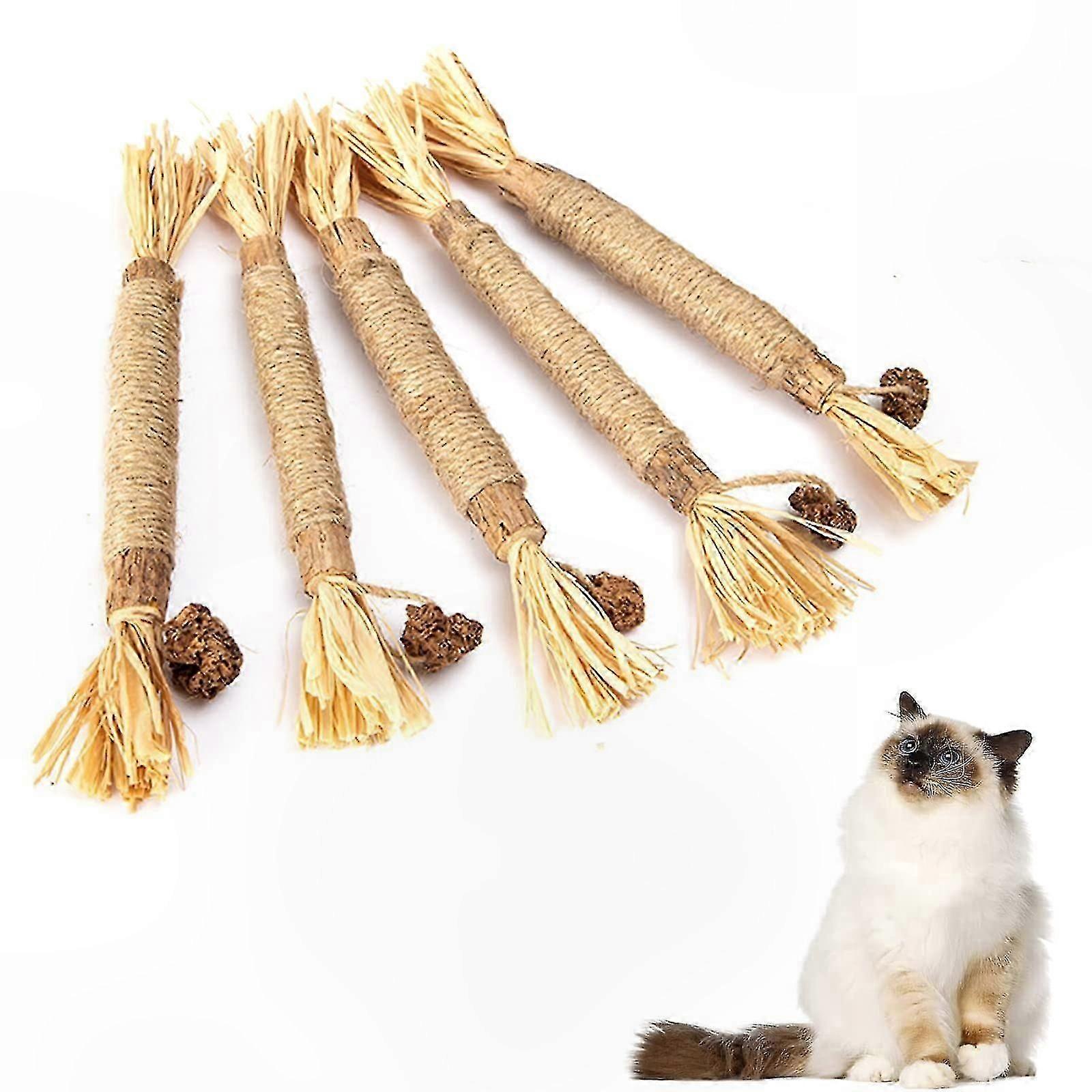 Catnip Chew Sticks for Kittens Dental Care Toy with Silvervine Flavor Feline Treat Plaything