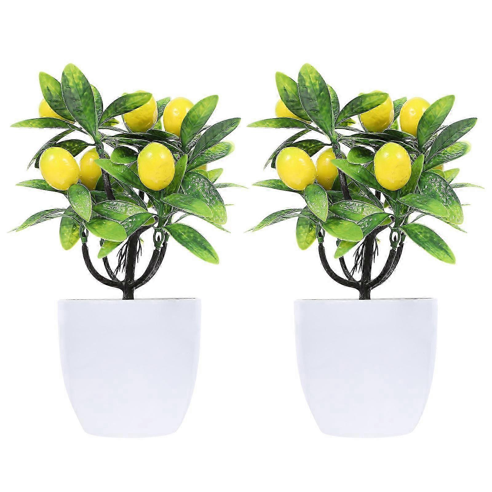 Living RoomGreenery, Compact for Desk or Shelf, High-Quality Material