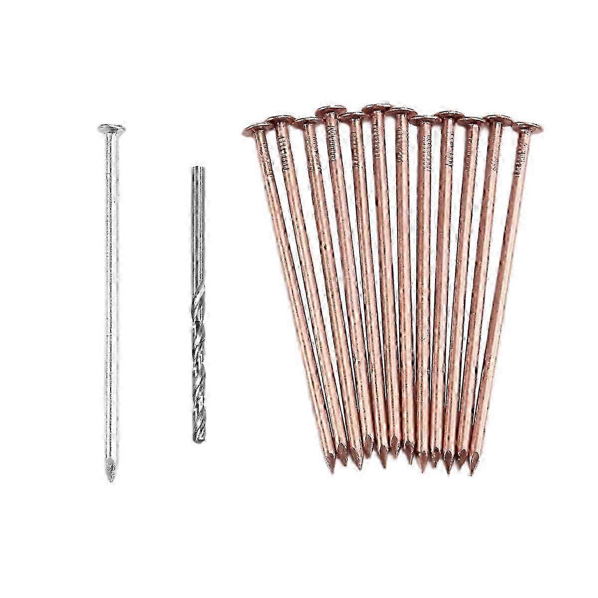 Copper Nails Kit to Killing Trees,3.5 Inch Pure Copper Nails Bulk Edition 0808