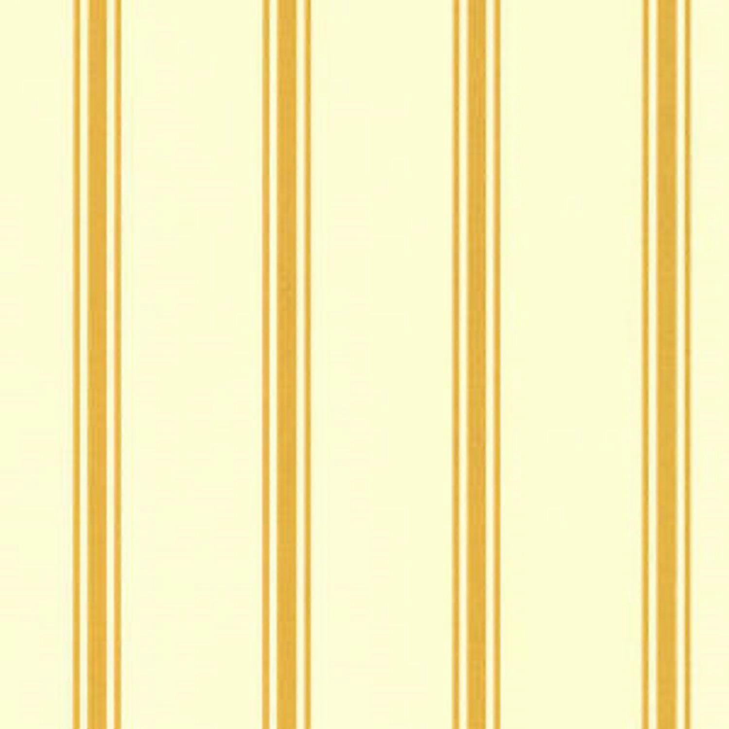 دمى البيت ريجنسي تصميم الذهب شريط مصغرة 1:24 نصف بوصة خلفية