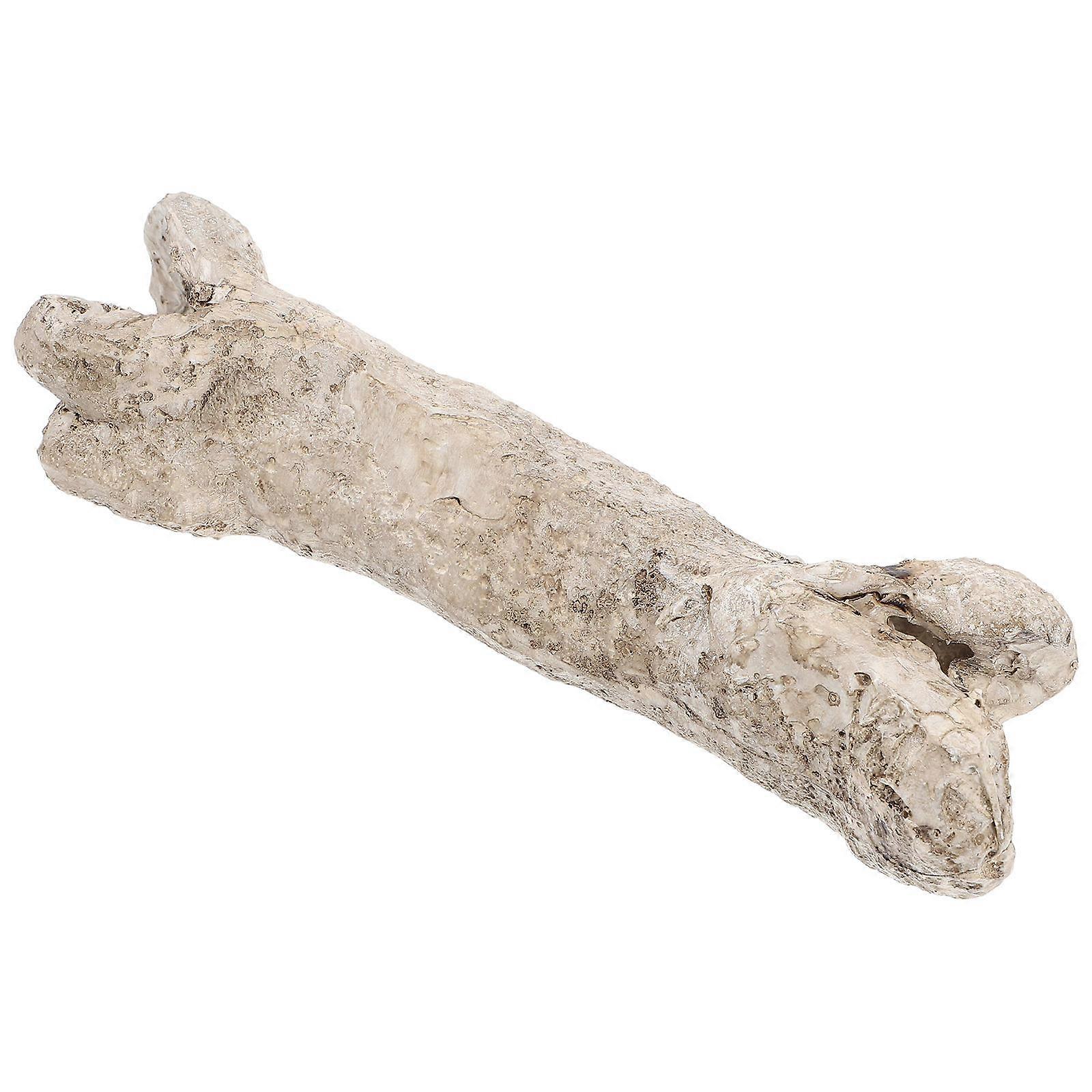 Reptile Tank Hideout Bone Accessories for Pets with 4Pcs Resin Models