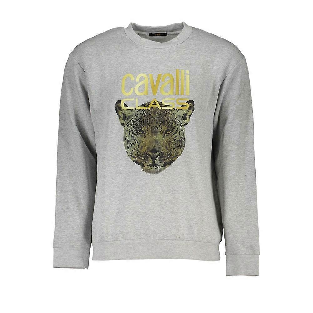 Sweatshirts Cavalli Class qxt66bcf062gr05014xl