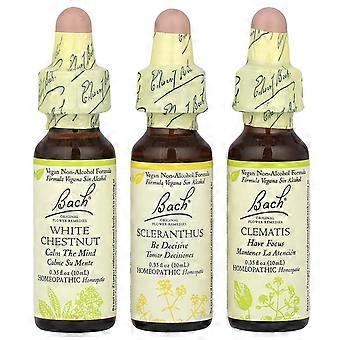 Bach, Original Flower Remedies, Focus Kit, Clarity of Mind, 3 Droppers, 0.35 fl oz (10 ml) Each