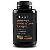 Eco Lion's Mane Extract 120 capsules