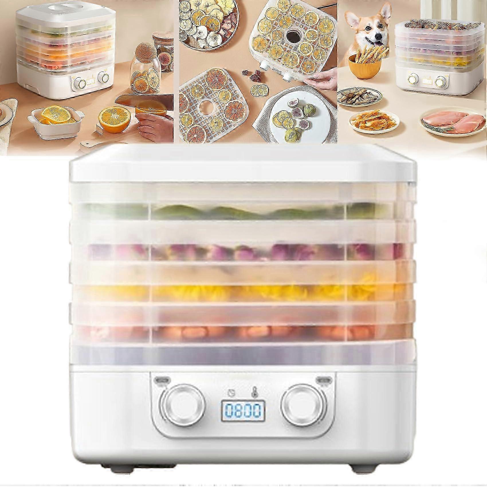 Compact Dryer for Home - 5 Trays, Timer & Temperature Adjustment (White)