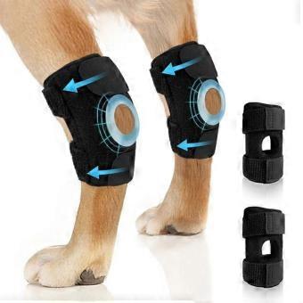 Dog Rear Knee And Hock Support Wrap