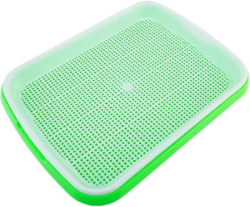 Seed Sprouter Tray Bönor Filter Multifunktions Groning Bricka Sprout Maker För Grodda Frön (Grön)