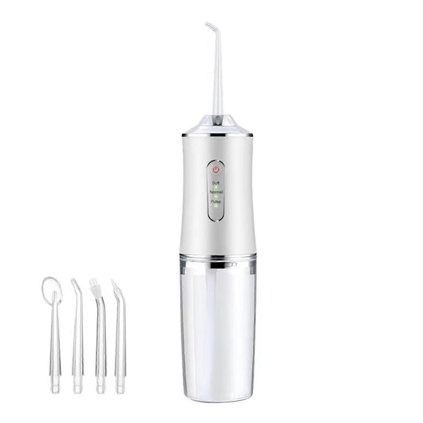 Intelligent Portable Electric Flosser with 4 Nozzles Large Capacity Water Tank Scalers for Women Men
