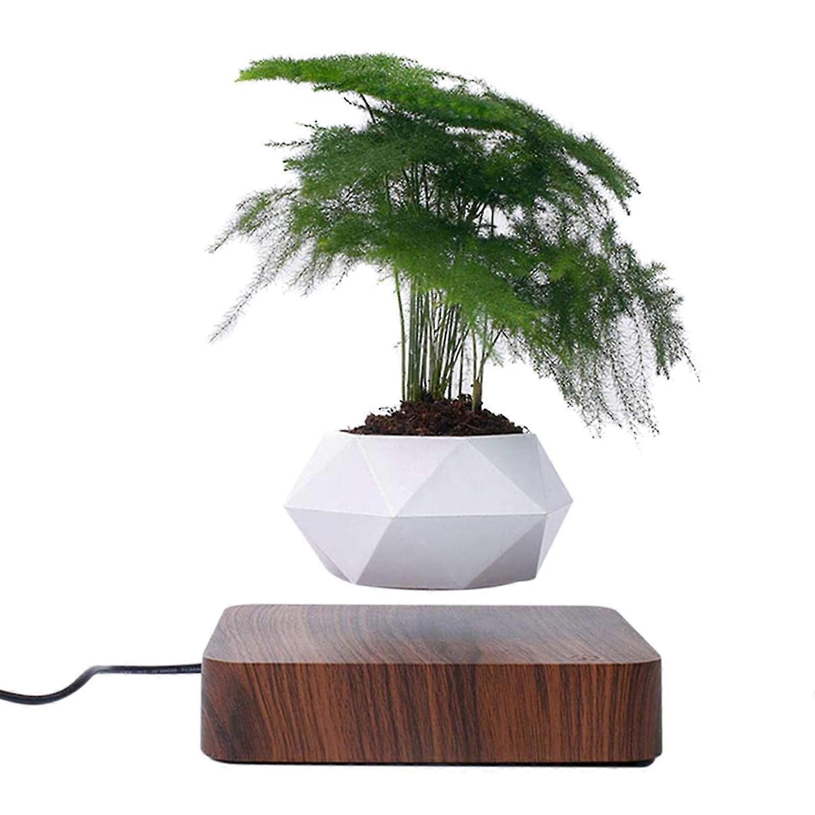 Αιωρούμενος αέρας Bonsai δοχείο περιστροφή γλάστρα γλάστρα φυτείες μαγνητική αιώρηση ανάρτηση πλωτό δοχείο
