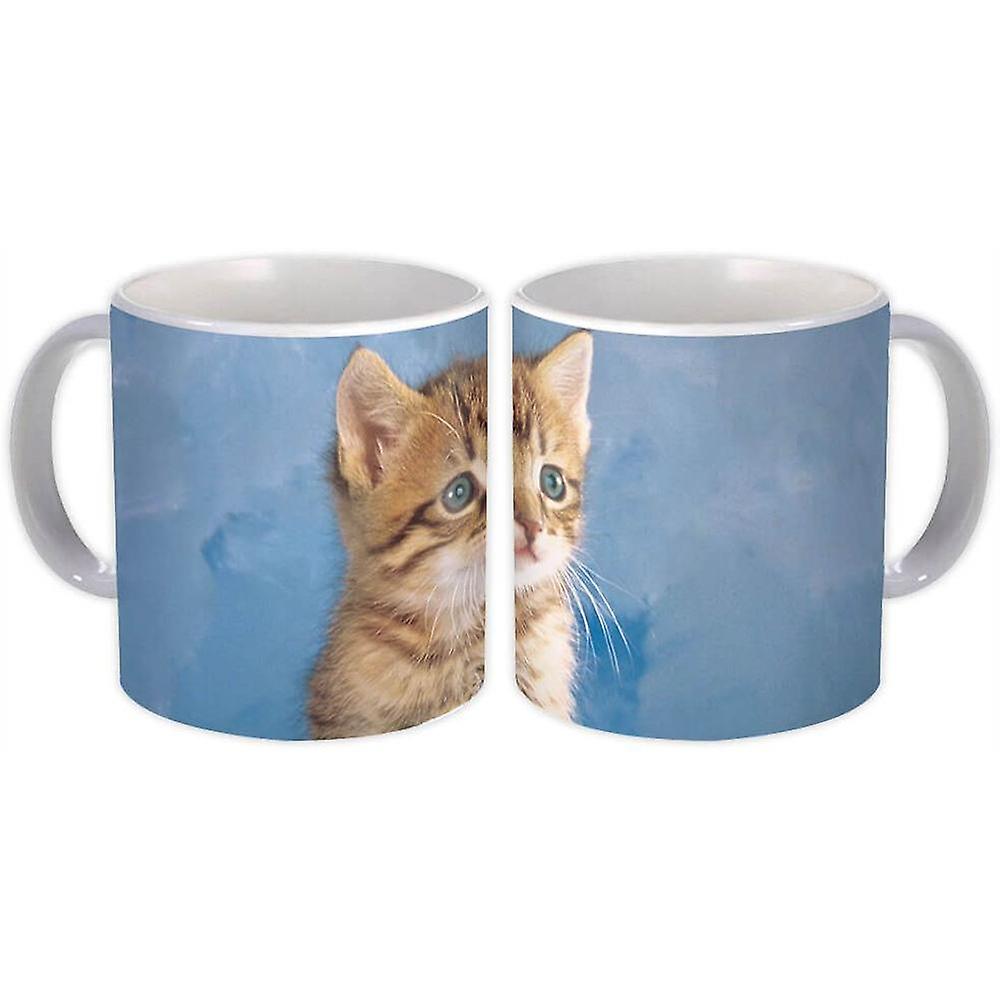 礼品杯：猫动物