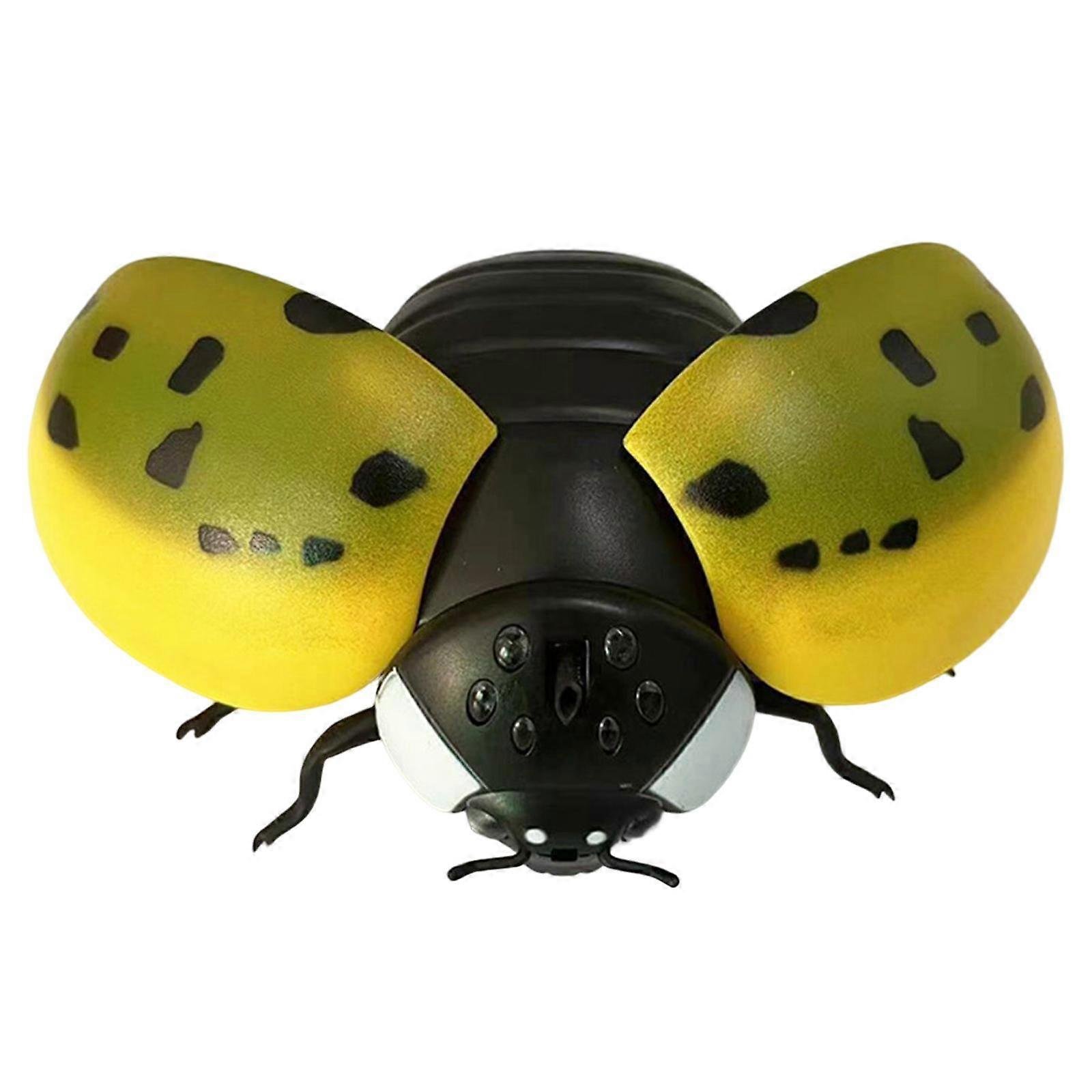 Electric Crawling and Learning Kids