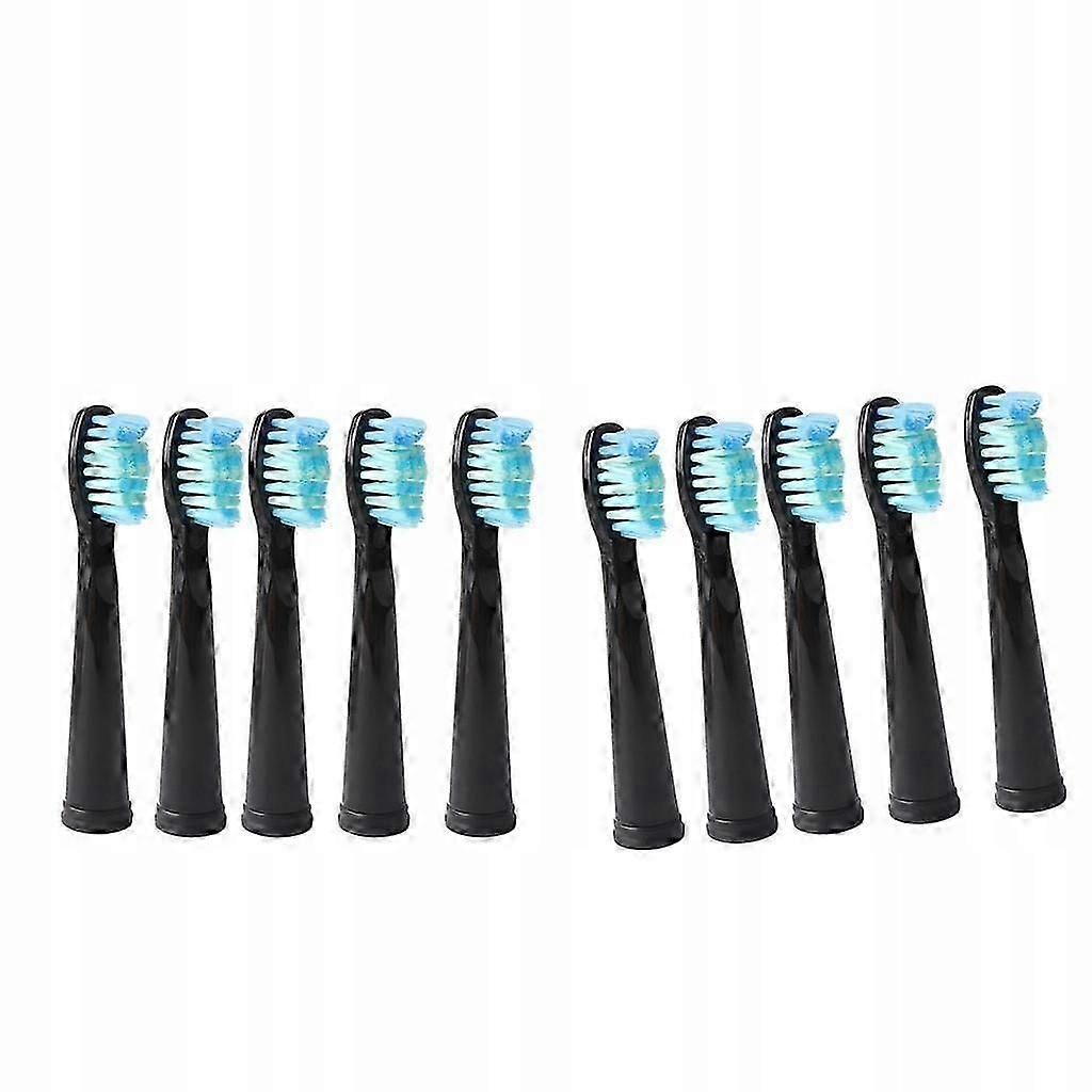 10 Replaceable Toothbrush Head