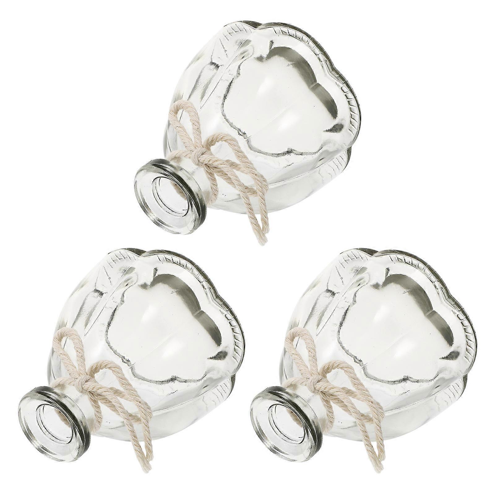 Transparent Hydroponic Decorative Vase 3Pcs for Artistic Flower Display