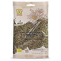 hyssop plant 55 g