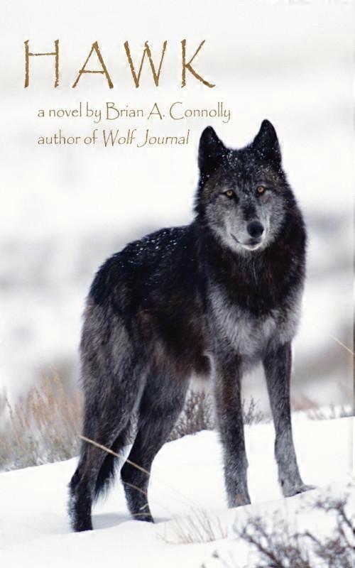 Hawk A Novel