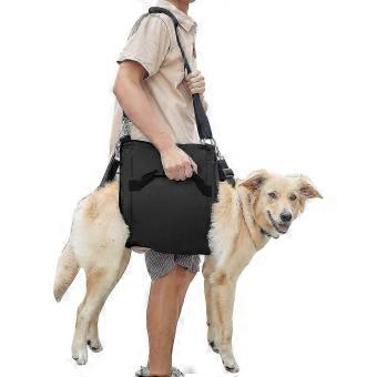 Emergency Lift Harness For Dogs With Arthritis
