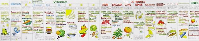 Vitamin Chart by Liz Cook Wallchart Book