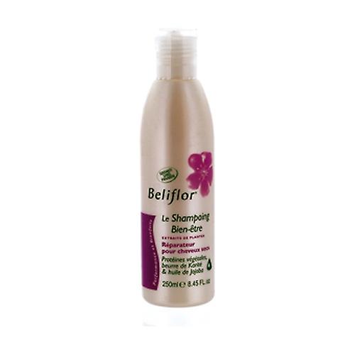 Restorative well-being shampoo 250 ml