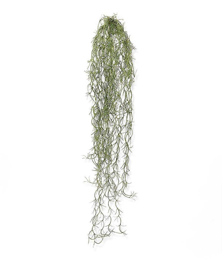 Tillandsia trailing plant (75 cm)