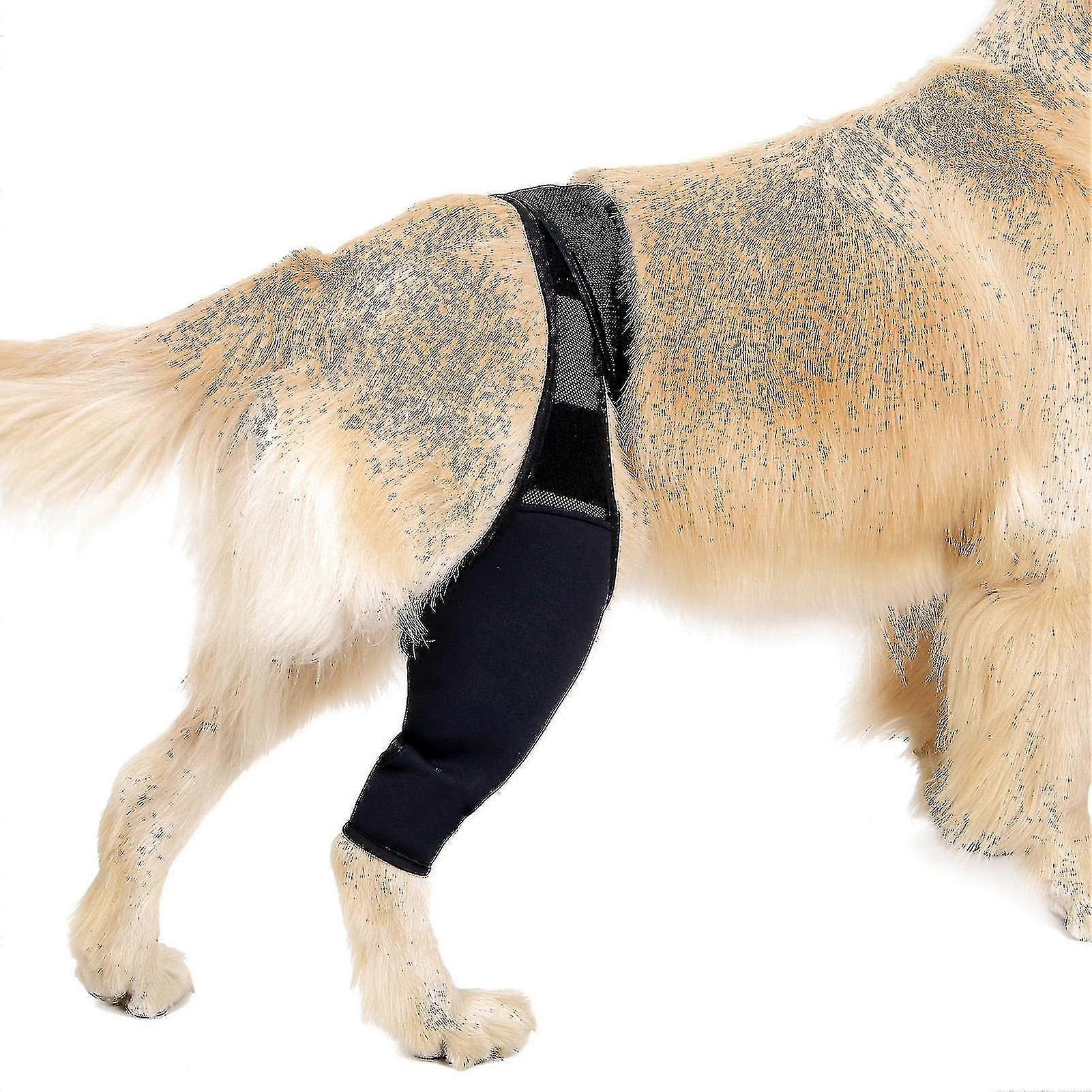 犬の怪我や捻挫の回復のための痛み緩和フロントとリアレッグサポートブレース