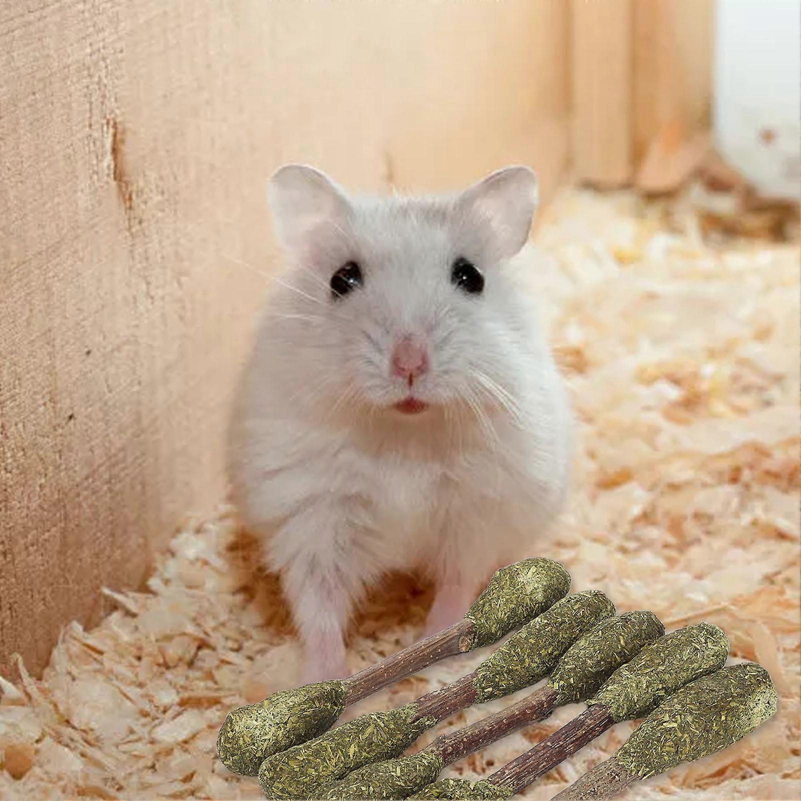 5PCS Rabbit Chew Sticks Teeth Grinding Interactive Alfalfa Grass Hamster Chew Toy for Golden Bear Guinea Pig