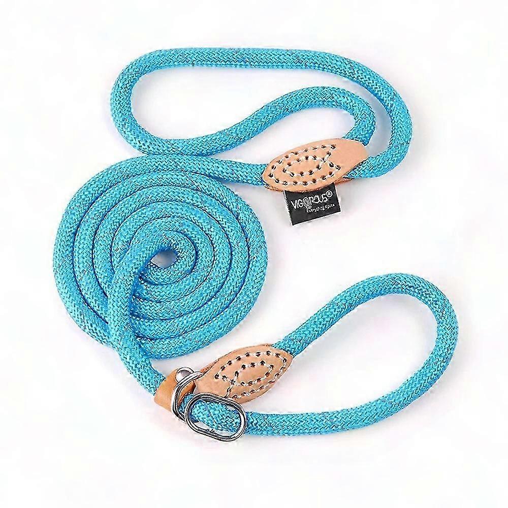 Adjustable Dog Leash for Training and Walking - Comfortable Slip Lead Design