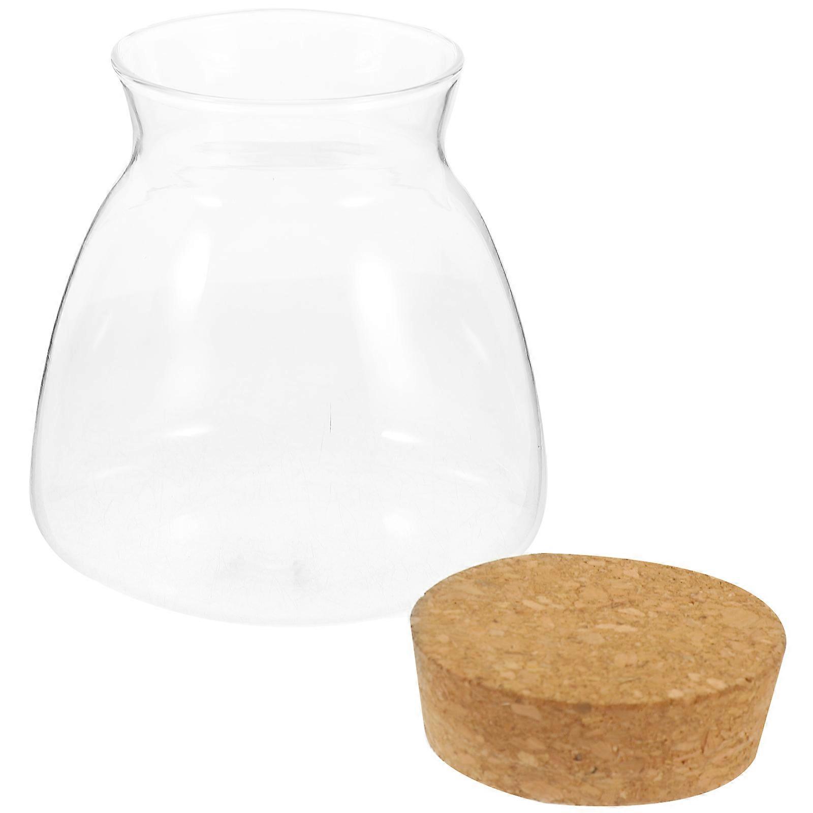 Glass Terrarium Jar for Decoration with Lid Transparent Wood Base Ecosystem Container 3.1 Inches