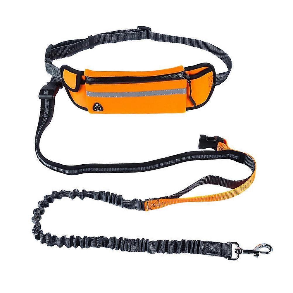 Hands Free Dog Leash with Reflective Stitching for Safe Adjustable Waist Belt Polyester Orange