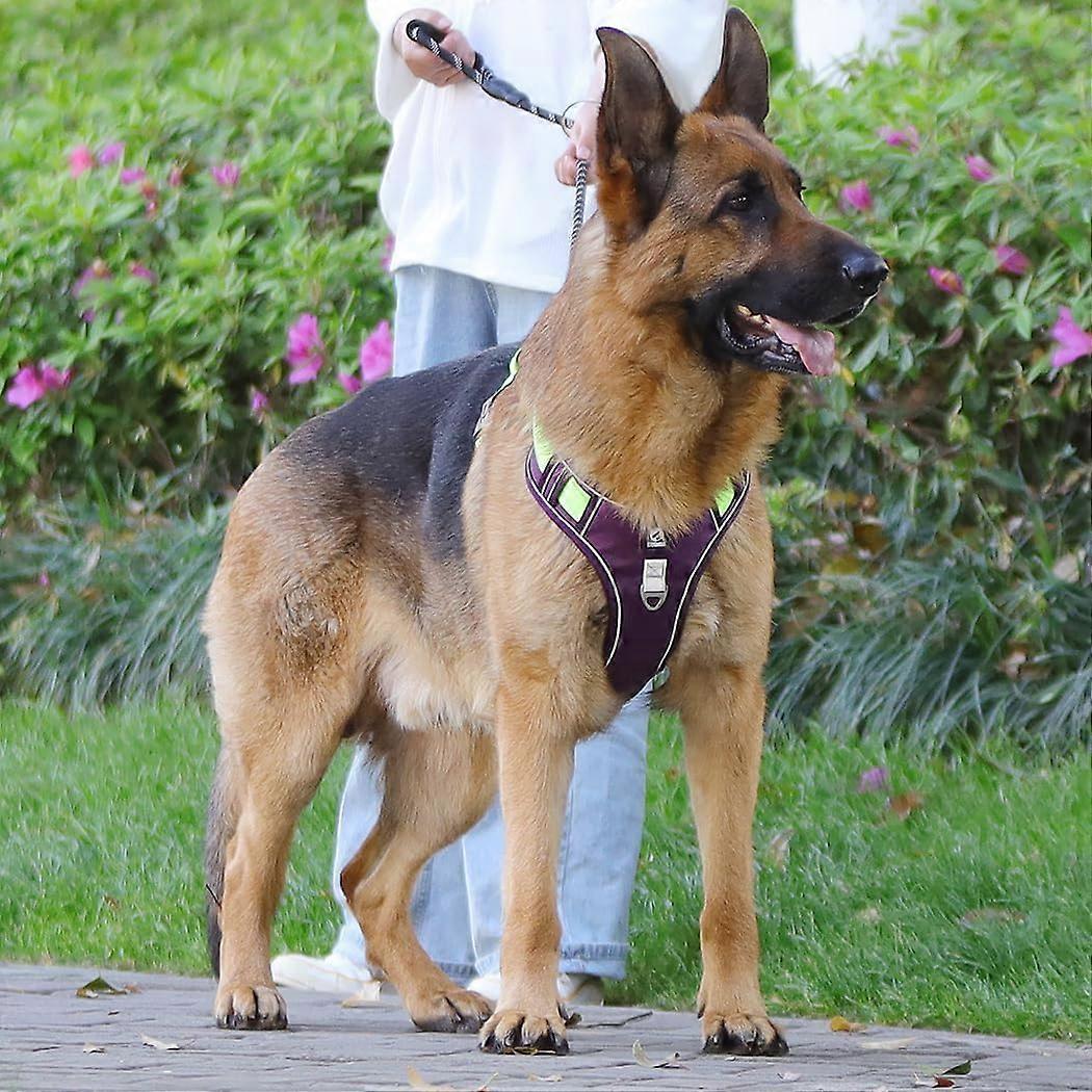 Dog Harness Reflective Breathable And Adjustable No-Pull Dog Vest Harness For Small Medium Large Dogs
