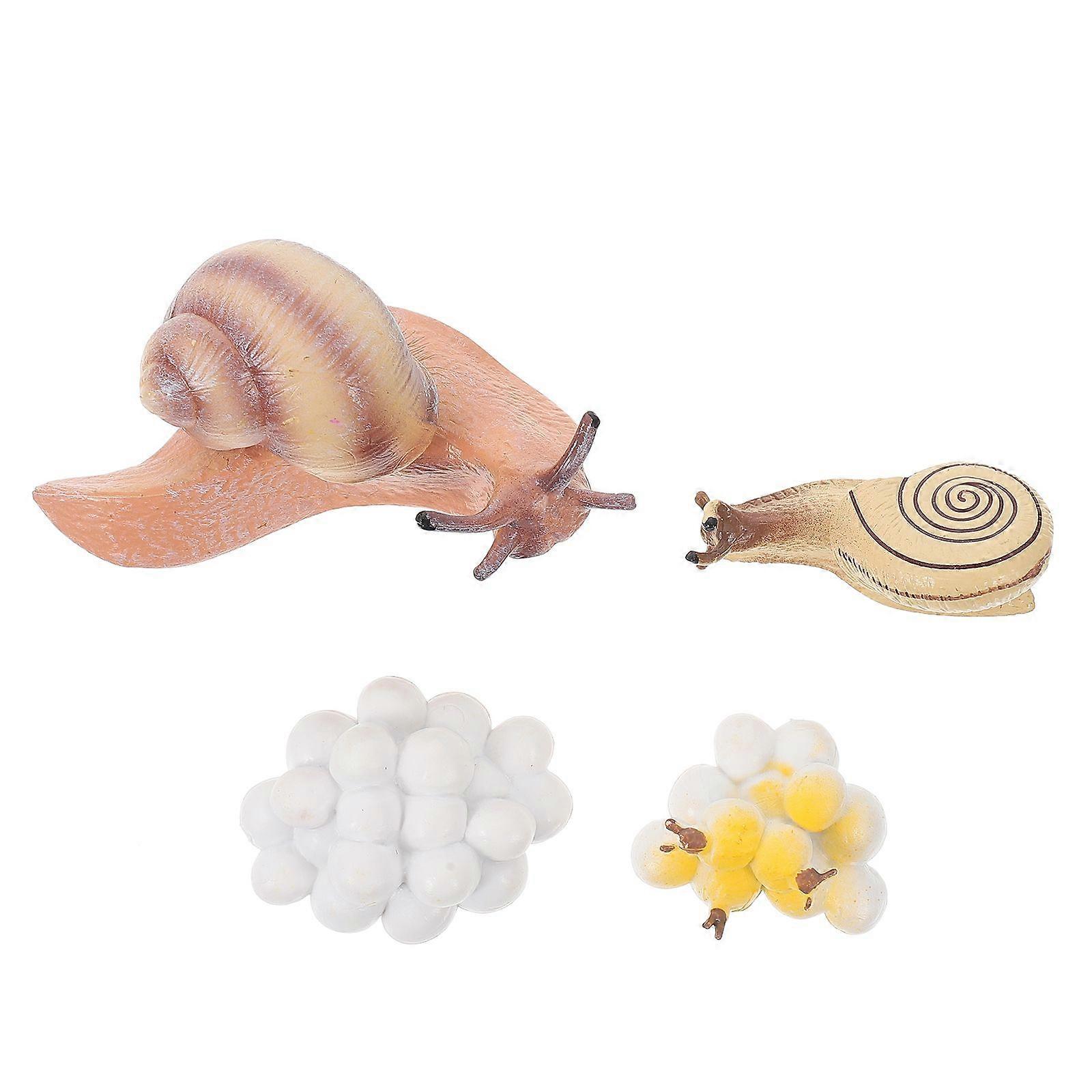 1 Set Realistic Snails Growth Models Plastic Display Ornament Kids Cognitive Toys