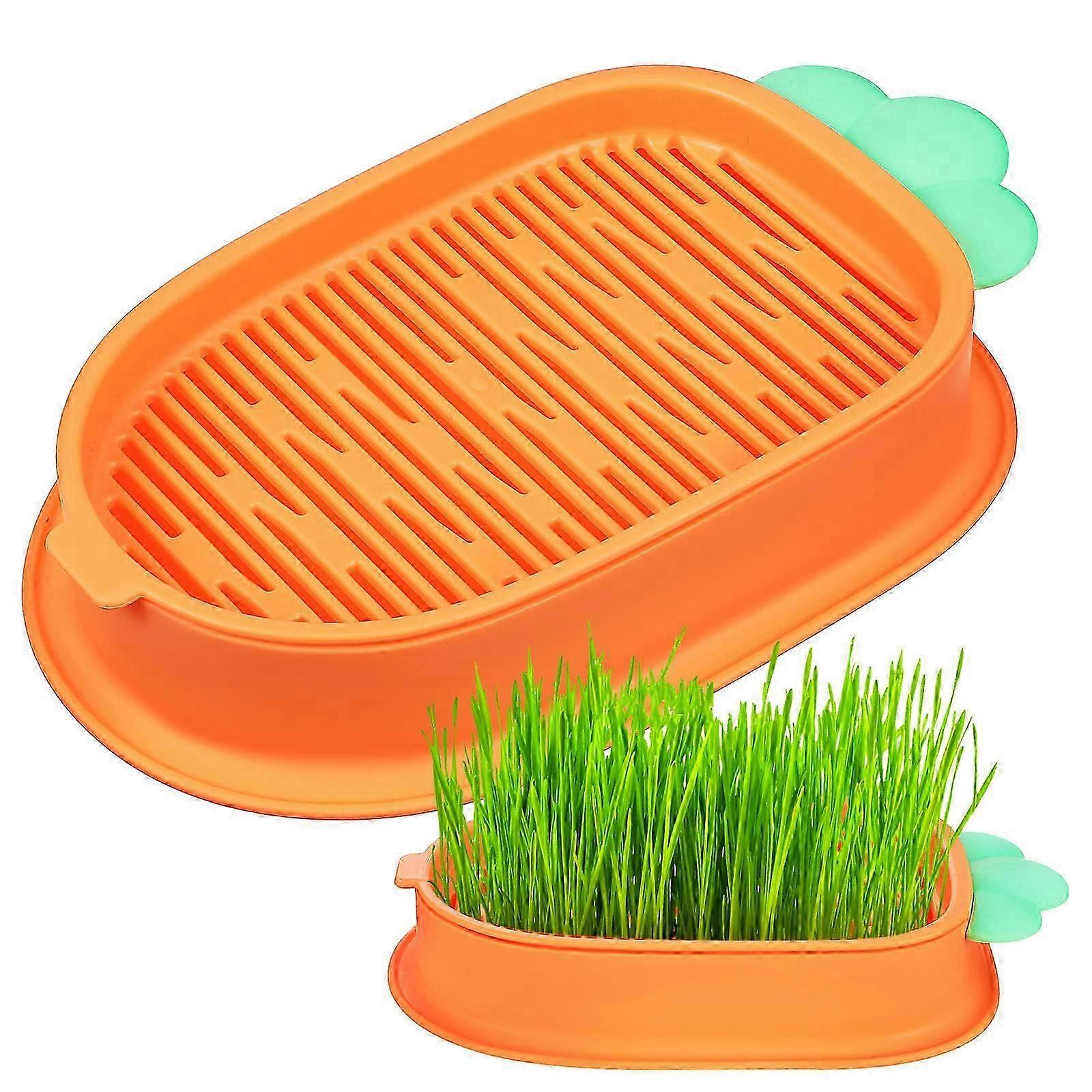 Durable Hydroponic Cat Bowl, Grass Planter with Long Lifespan and Practical Features