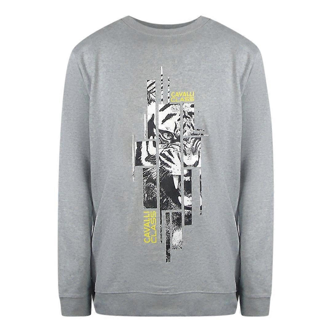 Cavalli Class Splintered Tiger Graphic Grey Sweatshirt