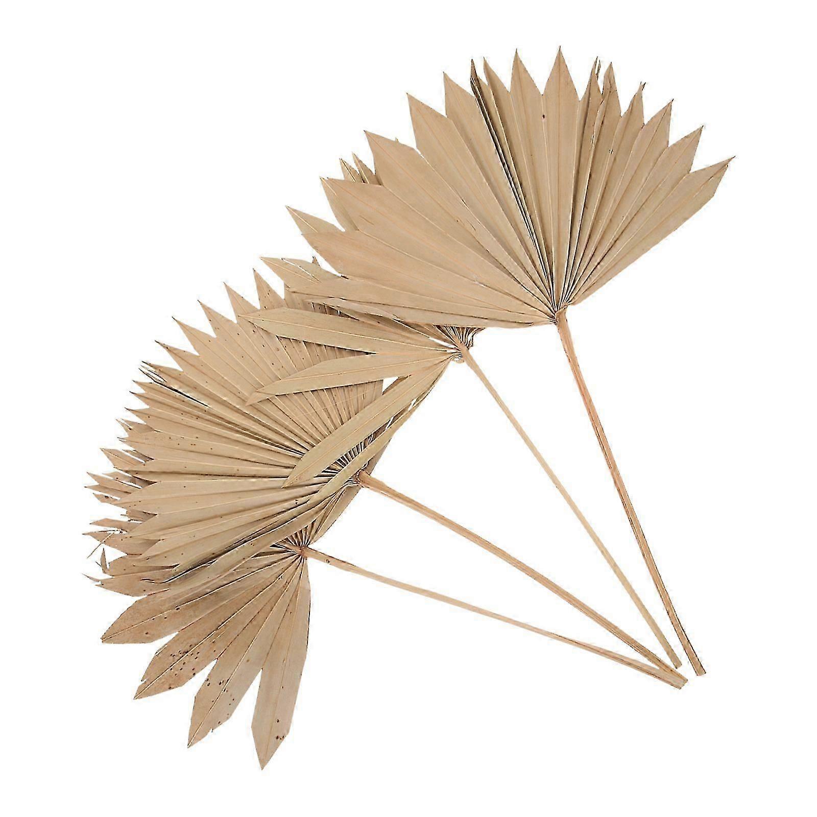4pcs Dried Palm Leaf Wedding Party Layout Palm Leaf Decorative Dried Leaf Prop