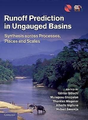 Runoff Prediction in Ungauged Basins