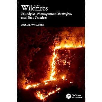 Wildfires Principles Management Strategies and Best Practices