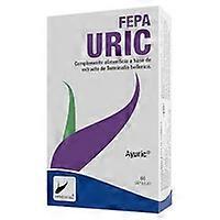 Uric acid uric 60 capsules