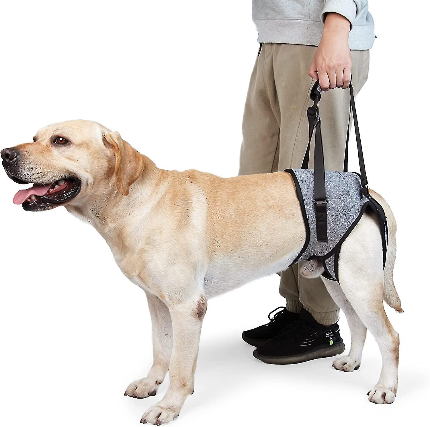Harnais de levage de chien, harnais de soutien pour chiens pour pattes arrière, écharpe de soutien de chien souple pour chiens handicapés blessés L