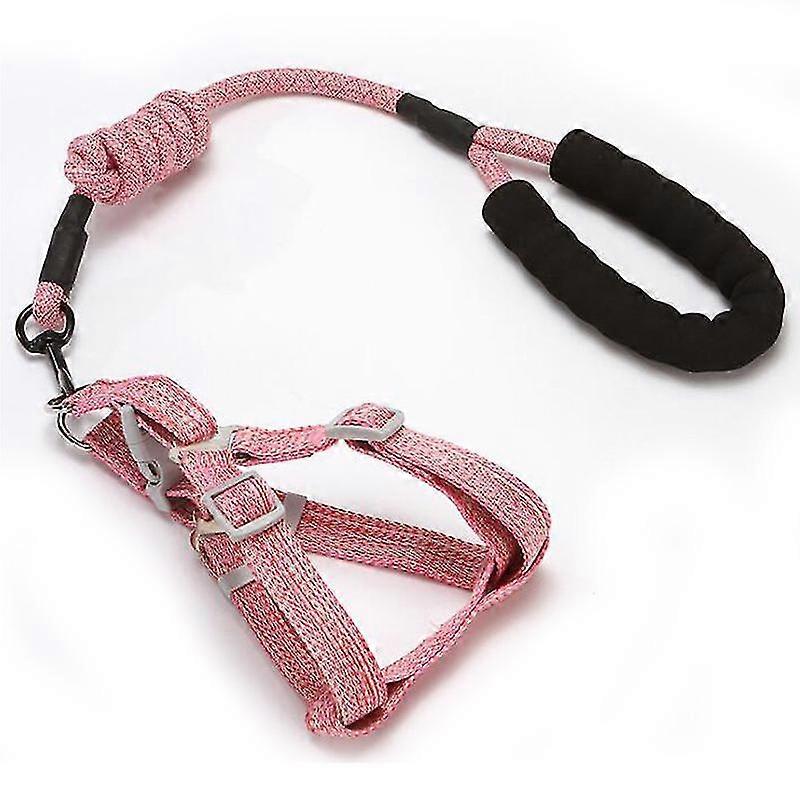 Outdoor training with adjustable vest and strap for small and medium-sized dogs