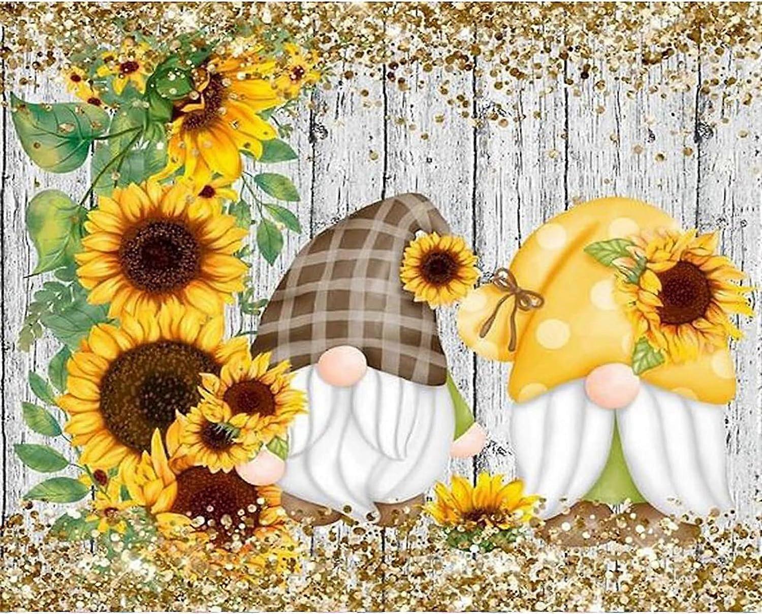 Dverger 5D diamantmalingssett 30x40 cm E