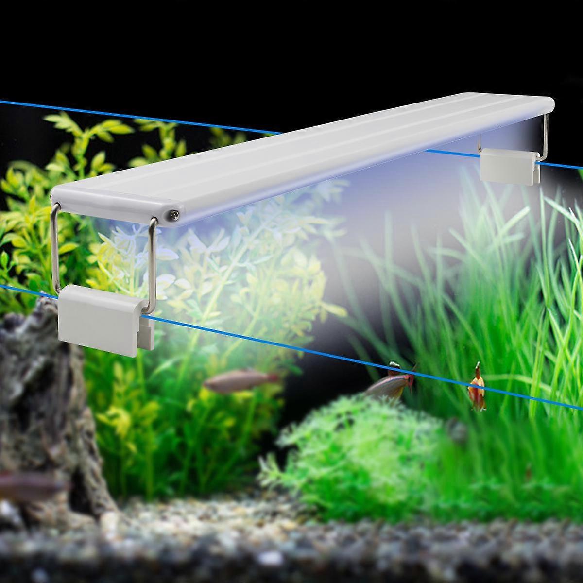 View of 9 Best LED Lights for Planted Tanks - Tested and Reviewed