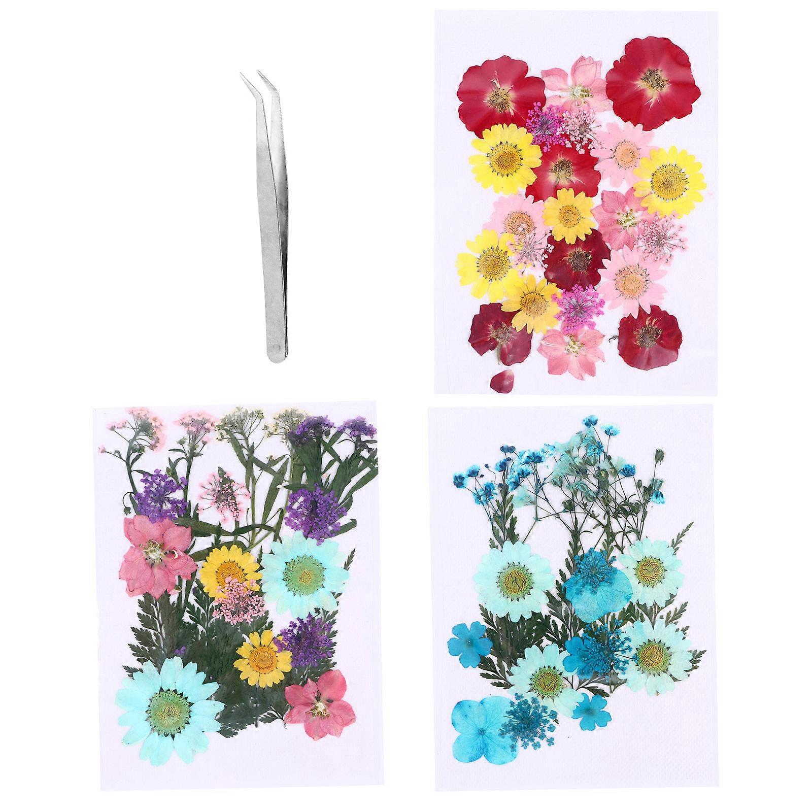 Dried Flower Crafts For Dining Table Decorative Assorted Color 4Pcs