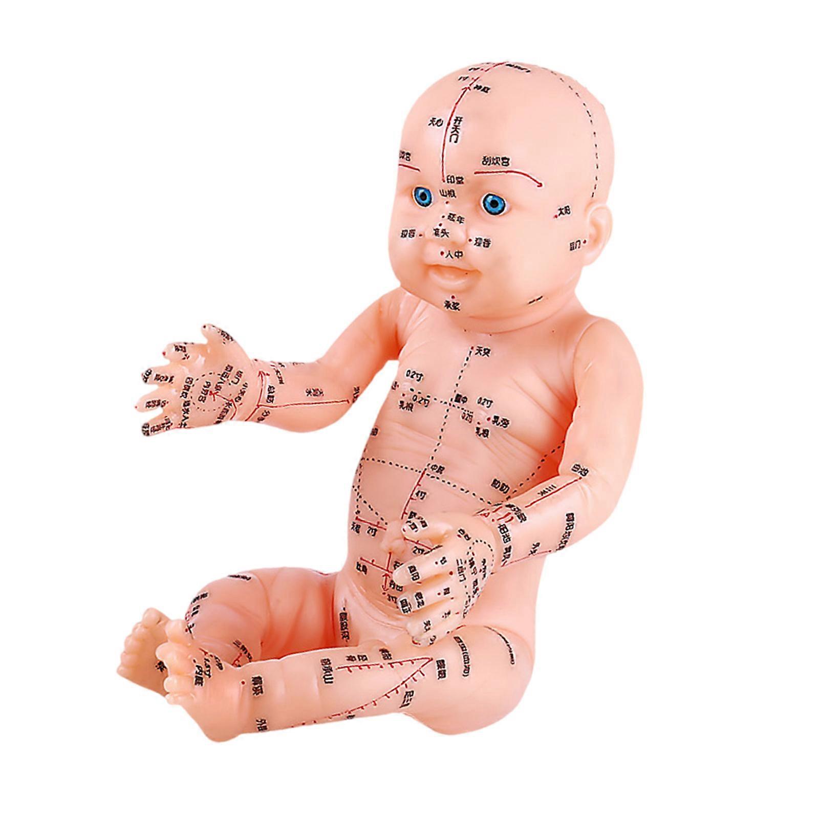 Professional Acupunctures Practice Model With Marked Pressure Nodes Practical Acupunctures Needle White PVC Teaching Aid Multicolor