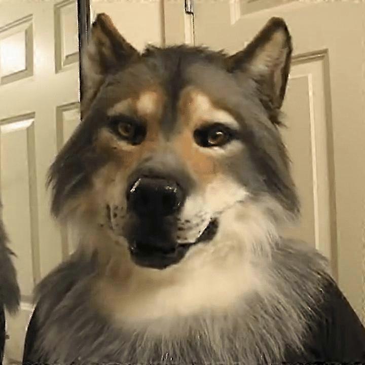 万圣节令人毛骨悚然的面具动物面具全头角色扮演服装乳胶头饰