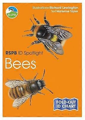 RSPB ID Spotlight - Bees