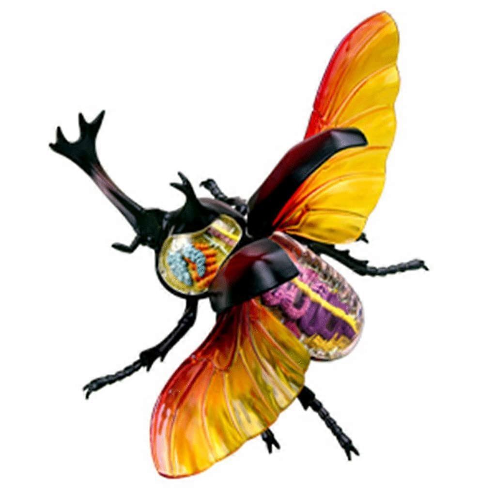4D Insect Anatomy Model with Detachable Organs for Classroom Biology Teaching and Study