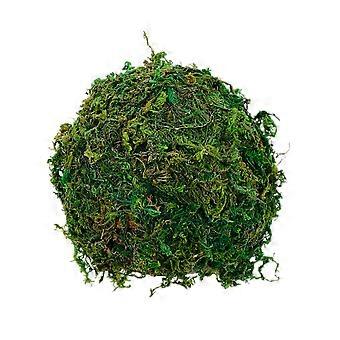Reptilien-Terrarium-Dekoration, Eidechsen-Versteckhöhle, grünes Kunstmaterial, 1 Stück