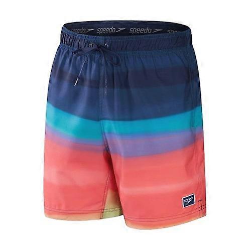 Speedo Mens Gradient Print Swim Shorts