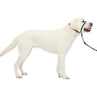 No-Pull Dog Headcollar - The Ultimate Solution to Pulling - Redirects Your Dog's Pulling for Easier Walks - Helps You Regain Control - Large, Black