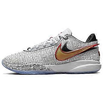 Nike LeBron 20 'The Debut' DJ5423-100